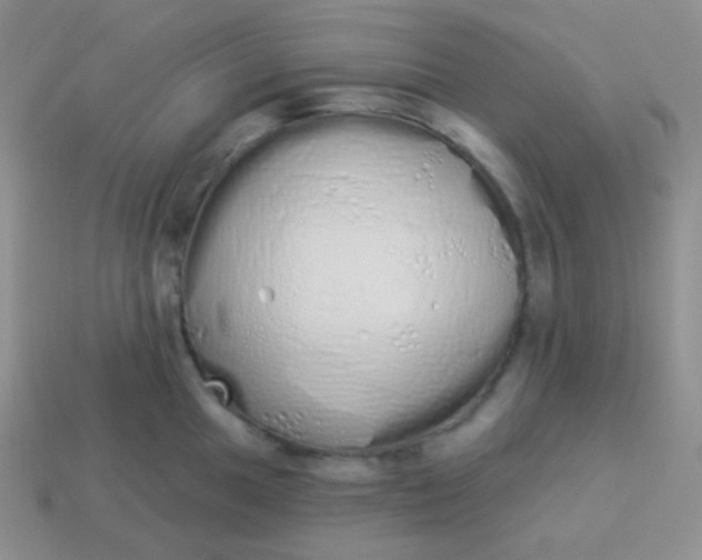 X0000114001049200910161705