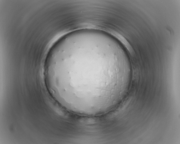 X0000114001051200910161705