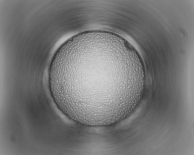 X0000114001053200910161705