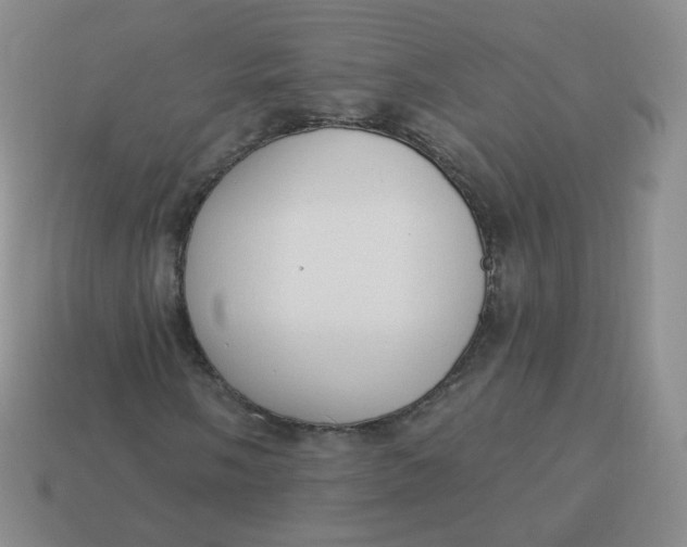X0000114001058200910161704