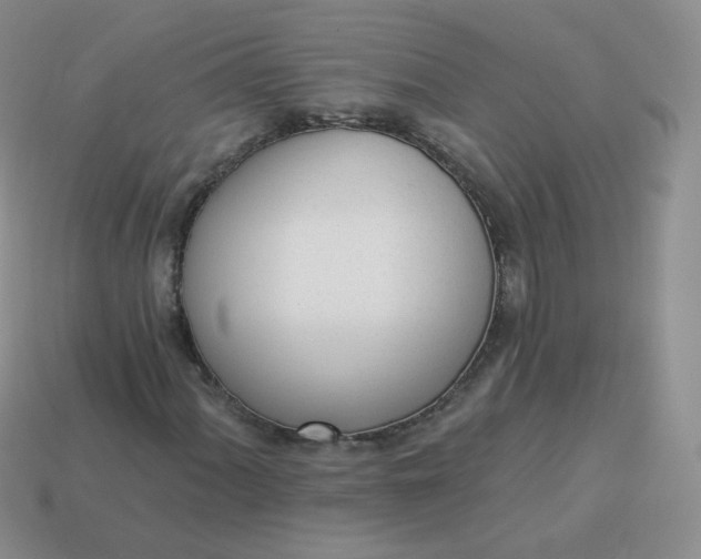 X0000114001060200910161704