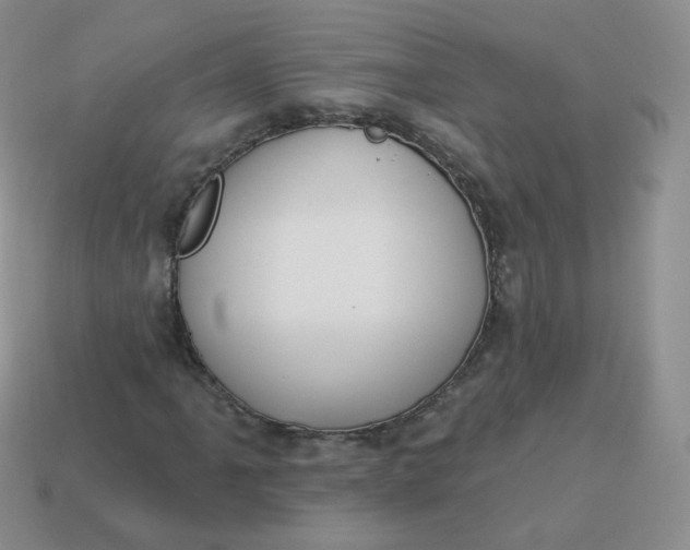 X0000114001061200910161704