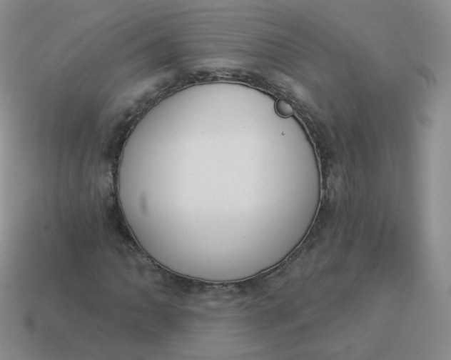 X0000114001062200910161704