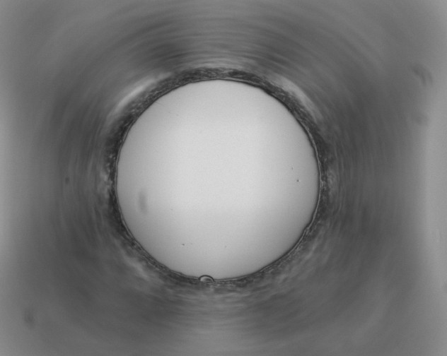 X0000114001064200910161704