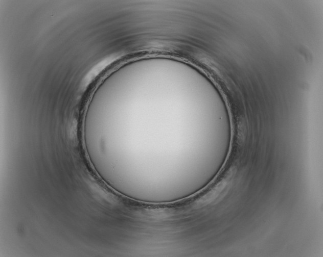 X0000114001066200910161704