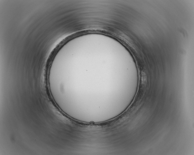 X0000114001068200910161704