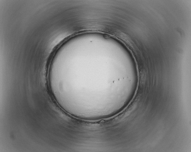 X0000114001071200910161704