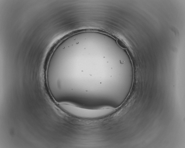 X0000114001072200910161704