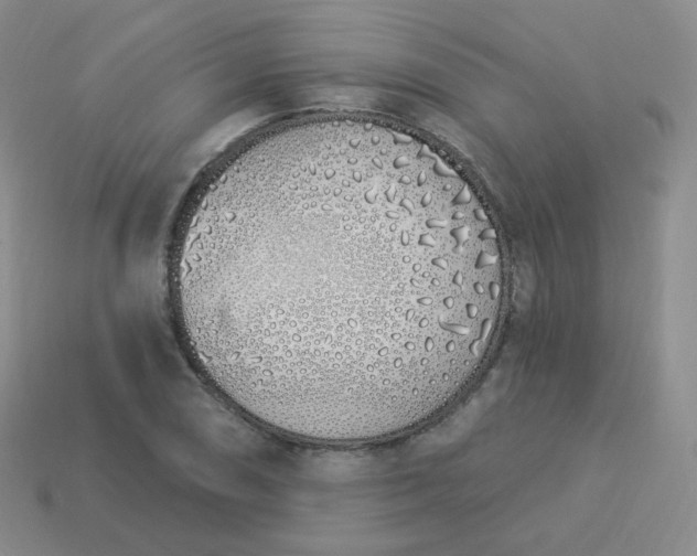 X0000114001074200910161704