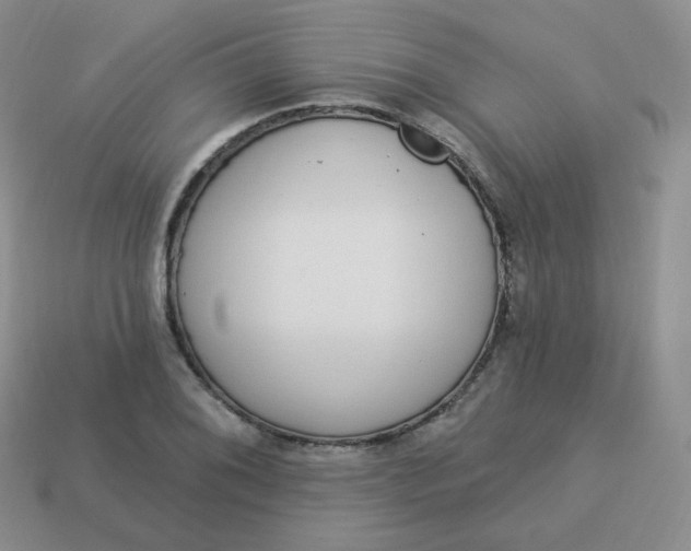 X0000114001076200910161704