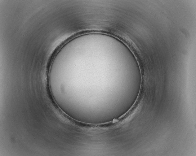 X0000114001077200910161704