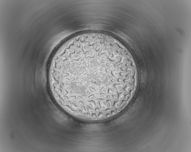 X0000114001078200910161704