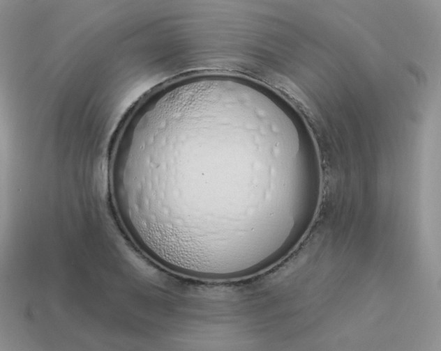 X0000114001079200910161704