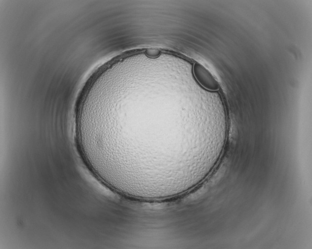X0000114001080200910161704