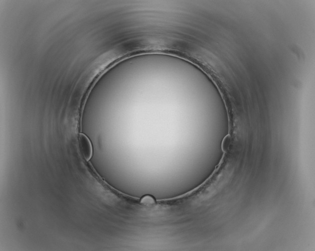 X0000114001081200910161704