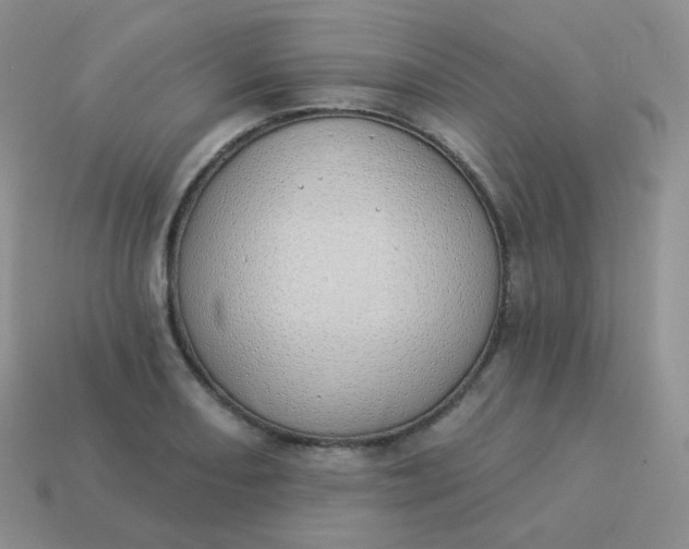 X0000114001082200910161704