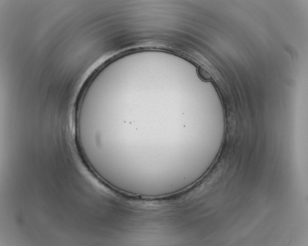 X0000114001084200910161704