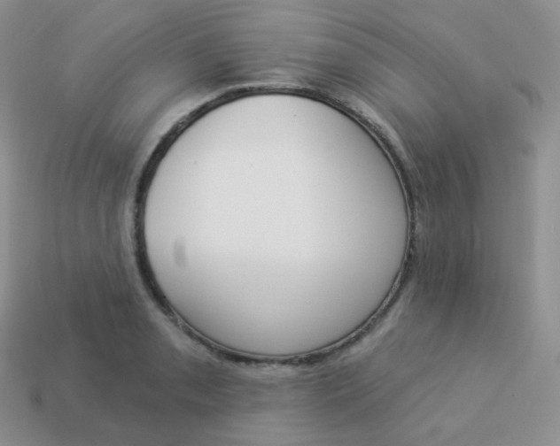 X0000114001085200910161704