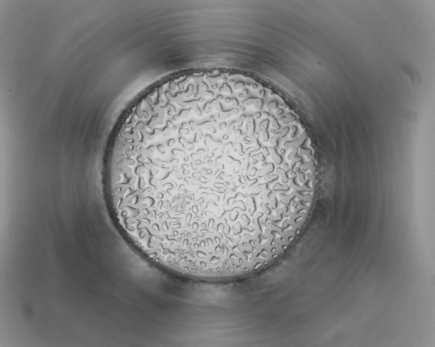 X0000114001086200910161704