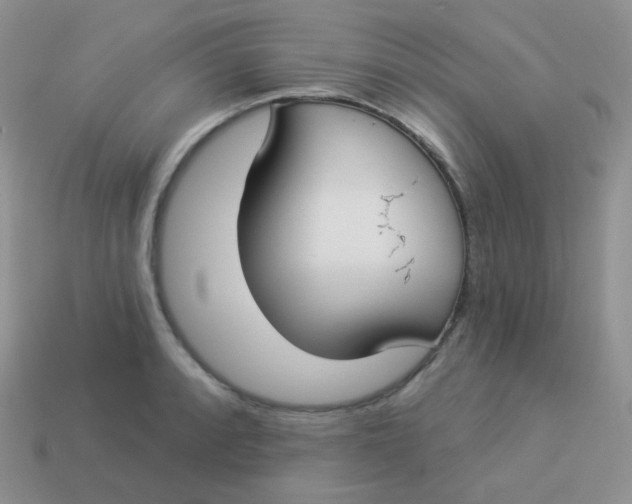 X0000114001088200910161704