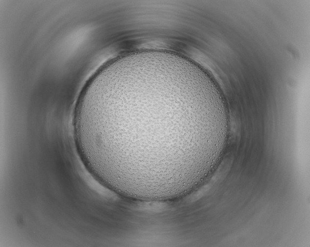 X0000114001090200910161704
