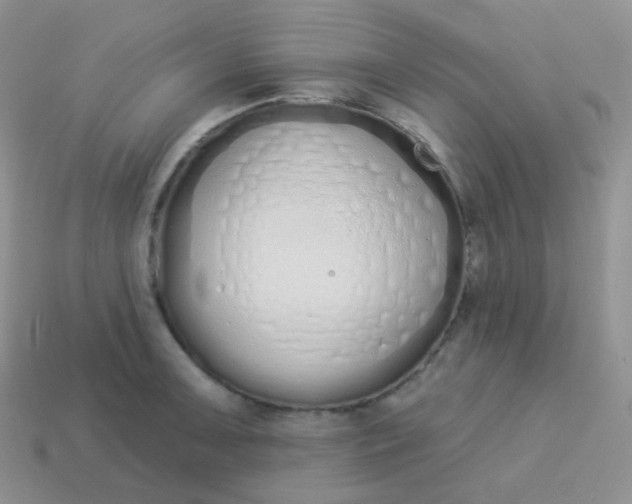X0000114001091200910161704