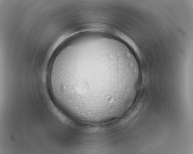 X0000114001099200910161703
