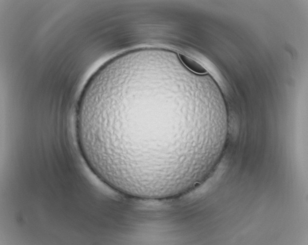 X0000114001100200910161703