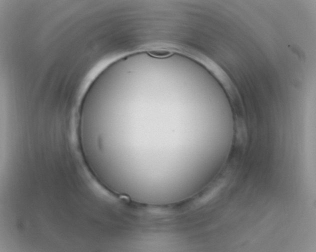 X0000114001102200910161703