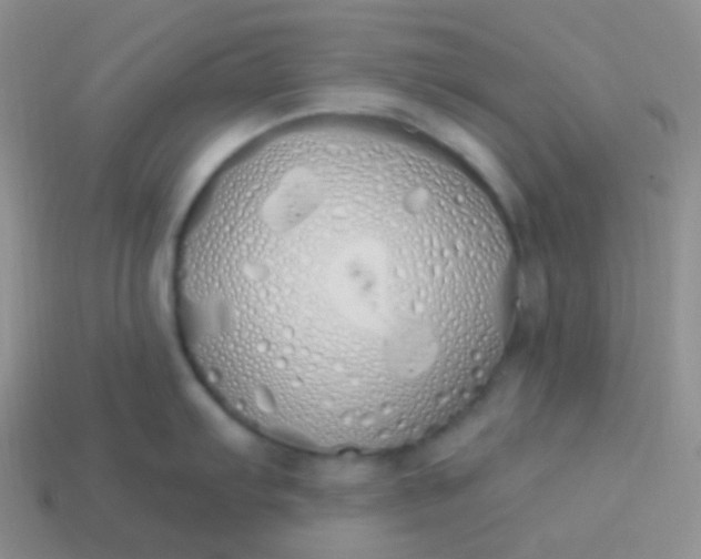 X0000114001103200910161703