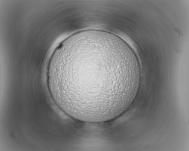 X0000114001104200910161703