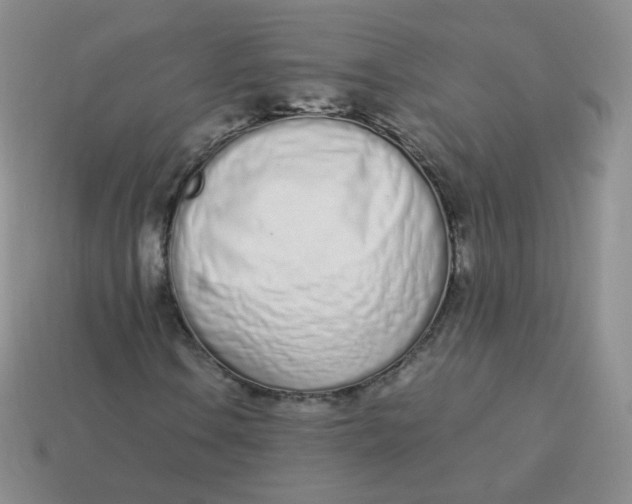 X0000114001106200910161703