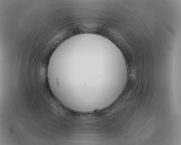 X0000114001108200910161703