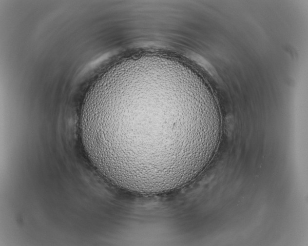 X0000114001111200910161703