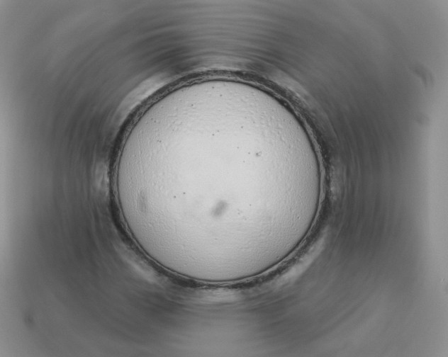 X0000114001113200910161703