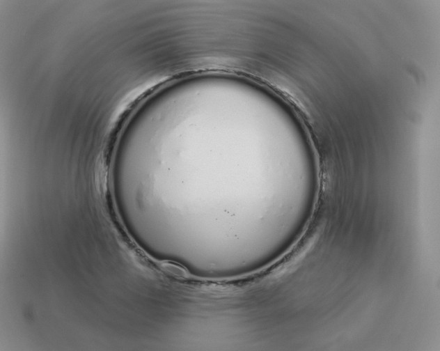 X0000114001117200910161703