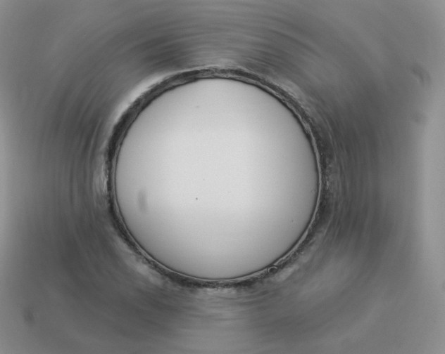 X0000114001118200910161703