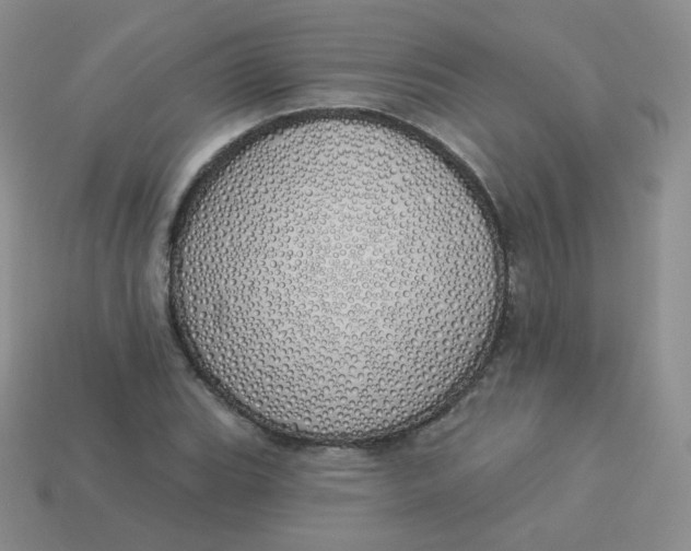 X0000114001119200910161703