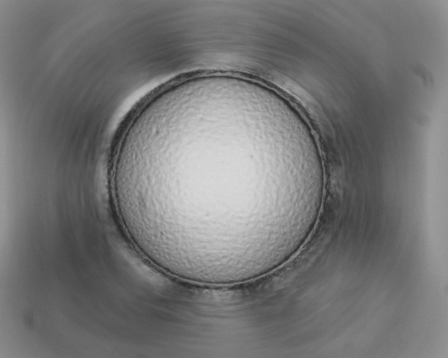 X0000114001120200910161703