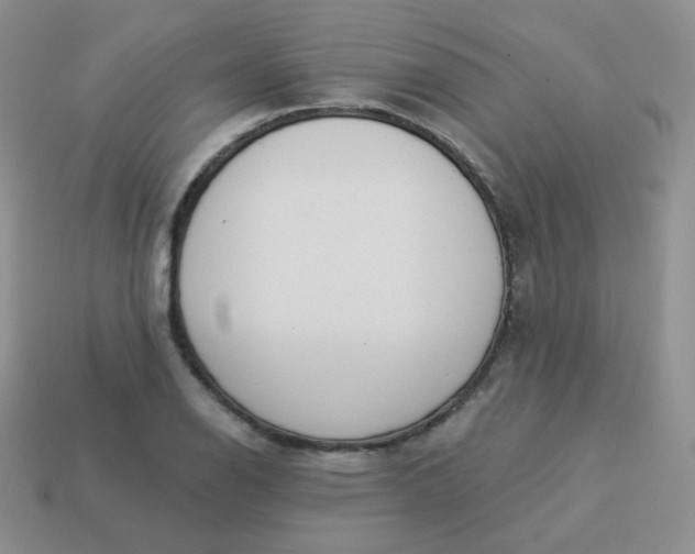 X0000114001126200910161703