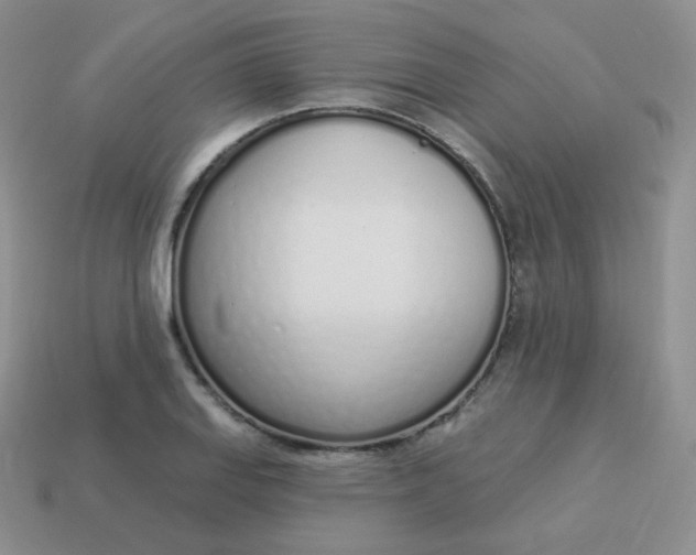 X0000114001127200910161703