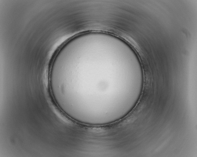 X0000114001128200910161703