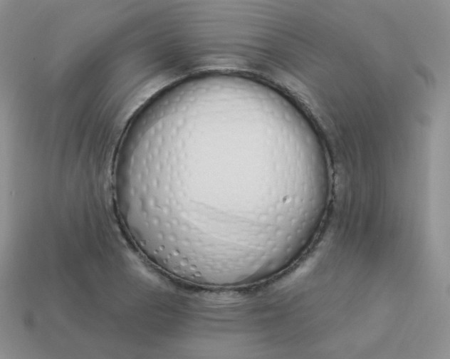 X0000114001129200910161703