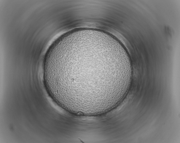 X0000114001131200910161703