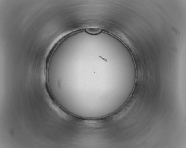 X0000114001132200910161703