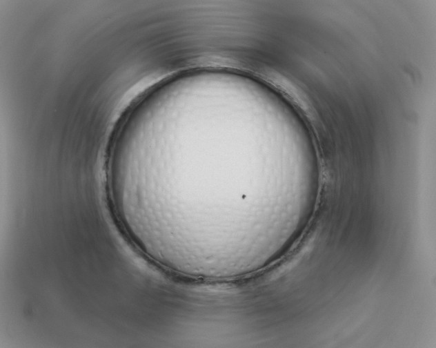X0000114001133200910161703