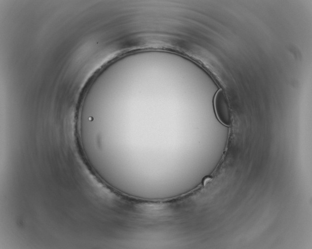 X0000114001134200910161703