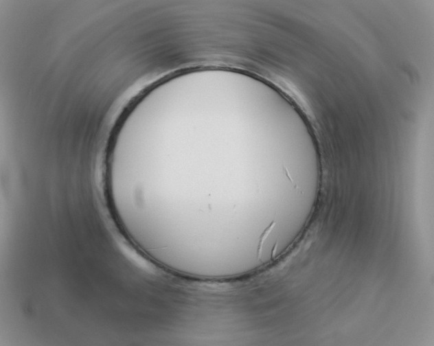 X0000114001136200910161703