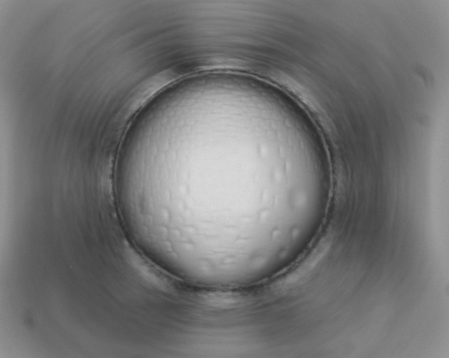 X0000114001137200910161703
