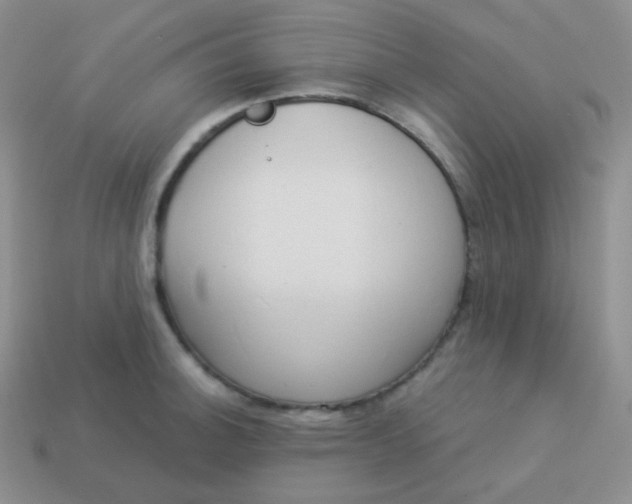 X0000114001140200910161703